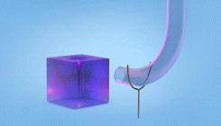 [:es]To Test Einstein’s Equations, Poke a Black Hole[:]