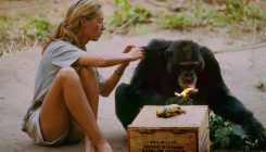 [:es]Jane Goodall, la mona blanca[:]