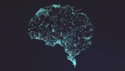 [:es]Brains Cling to Old Habits When Learning New Tricks[:]