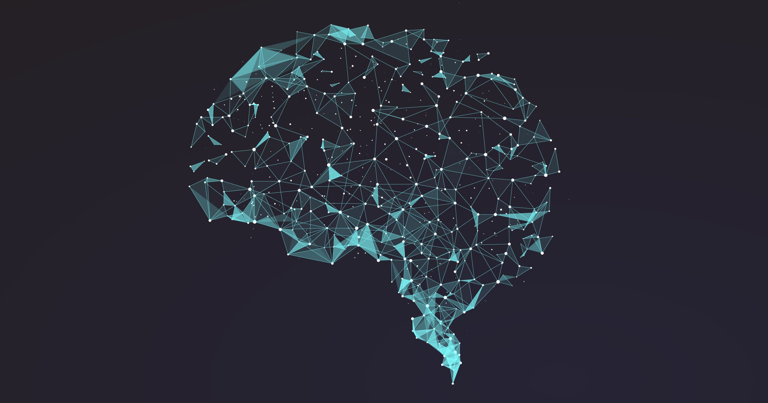 [:es]Brains Cling to Old Habits When Learning New Tricks[:]