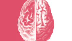 [:es]Why I’m growing a second brain[:]