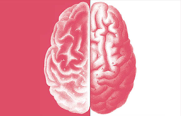 [:es]Why I’m growing a second brain[:]