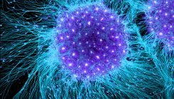 [:es]How human embryonic stem cells sparked a revolution[:]