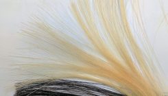 [:es]In Search of the Perfect Hair Dye[:]