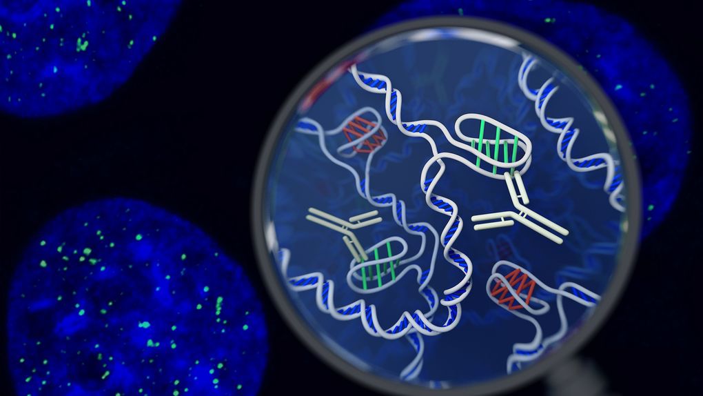 [:es]Descubren una nueva forma de ADN en las células[:]