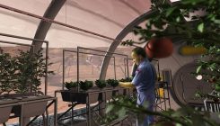 [:es]La gravedad de los exoplanetas alteraría el crecimiento de las plantas[:]
