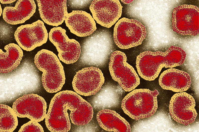[:es]Flu virus finally sequenced in its native form[:]