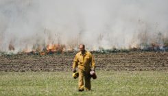 [:es]Setting Fires and Restoring an American Landscape[:]