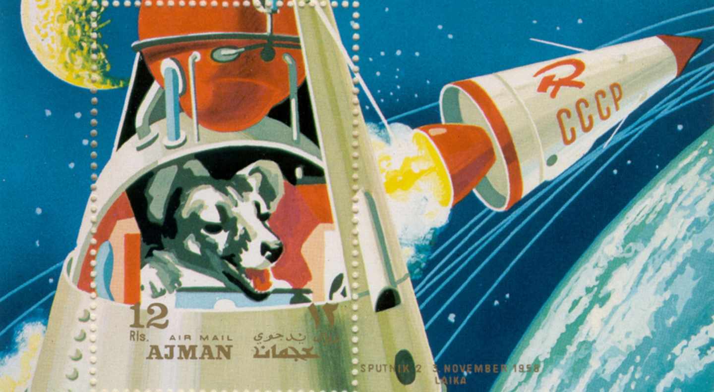 [:es]60 años sin Laika: los otros animales en el espacio[:]