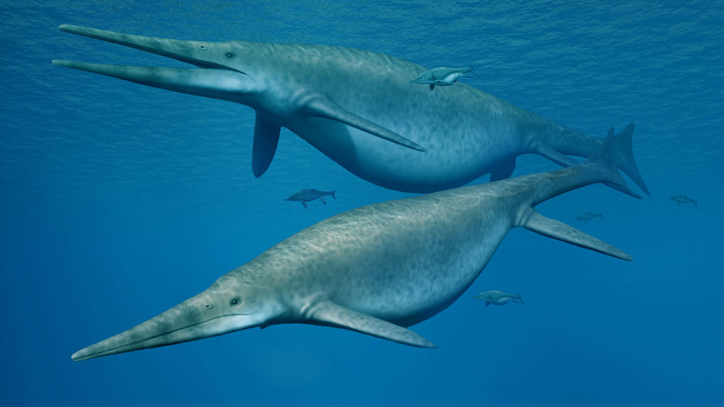 [:es]El único animal que rivalizó en tamaño con la ballena azul[:]