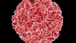 [:es] New chemical compound ‘stops common cold in its tracks'[:]