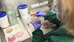[:es]Polio eradication initiative meets resistance to appeals to destroy samples[:]