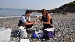 [:es]Los microorganismos del plancton marino tienen una ajetreada ‘vida social’[:]
