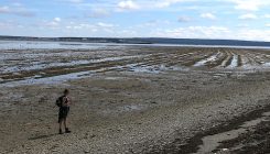 [:es]Cuando el mar se quedó un millón de años sin oxígeno [:]