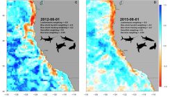 [:es]Los científicos quieren dar información en directo a los pescadores para salvar el mar[:]