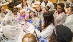 [:es]In Tackling Gender Inequality in STEM, Considerations of Culture[:]