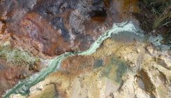 [:es]Iron-rich minerals on Mars could contain life’s fatty acids[:]