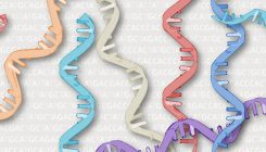 [:es]Nueva herramienta para corregir enfermedades genéticas sin modificar el genoma[:]