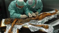 [:es]El último banquete de Ötzi arroja luz sobre la alimentación de hace 5.000 años[:]
