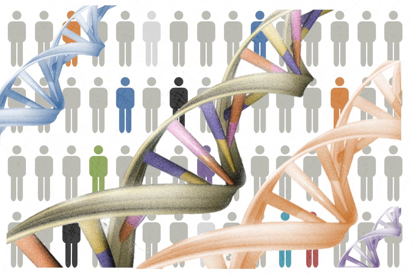 [:es]¿Cuántos genes tiene el genoma humano?[:]