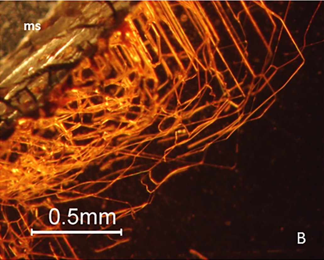 [:es]Tiny tunnels in gemstones found to be caused by microbes[:]