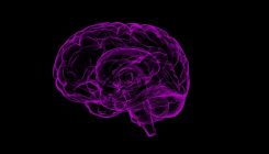 [:es]Descubren que un defecto en una proteína podría estar detrás del autismo [:]