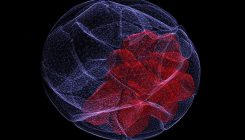 [:es]CRISPR ‘barcodes’ map mammalian development in exquisite detail [:]