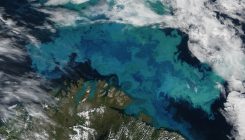[:es]El virus marino que está cambiando la atmósfera [:]