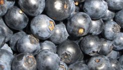 [:es]’Blueberry Earth’: How Thought Experiments Help Us To Understand Exoplanets[:]