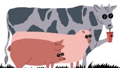 [:es]Bienestar animal: una cuestión ética pero también económica[:]