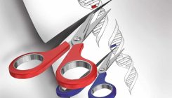 [:es]El fin de la guerra por la patente de CRISPR, el invento científico del siglo[:]