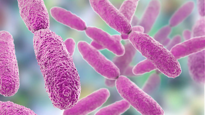 [:es]Scientists engineer a powerful new weapon against antibiotic-resistant bacteria[:]