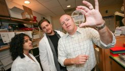[:es]Por qué los científicos no estudian los genes que importan sino los que se conocen mejor[:]