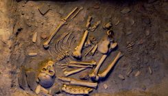 [:es]Deep in Human DNA, a Gift From the Neanderthals [:]