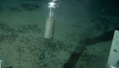 [:es]Observing the development of a deep-sea greenhouse gas filter [:]
