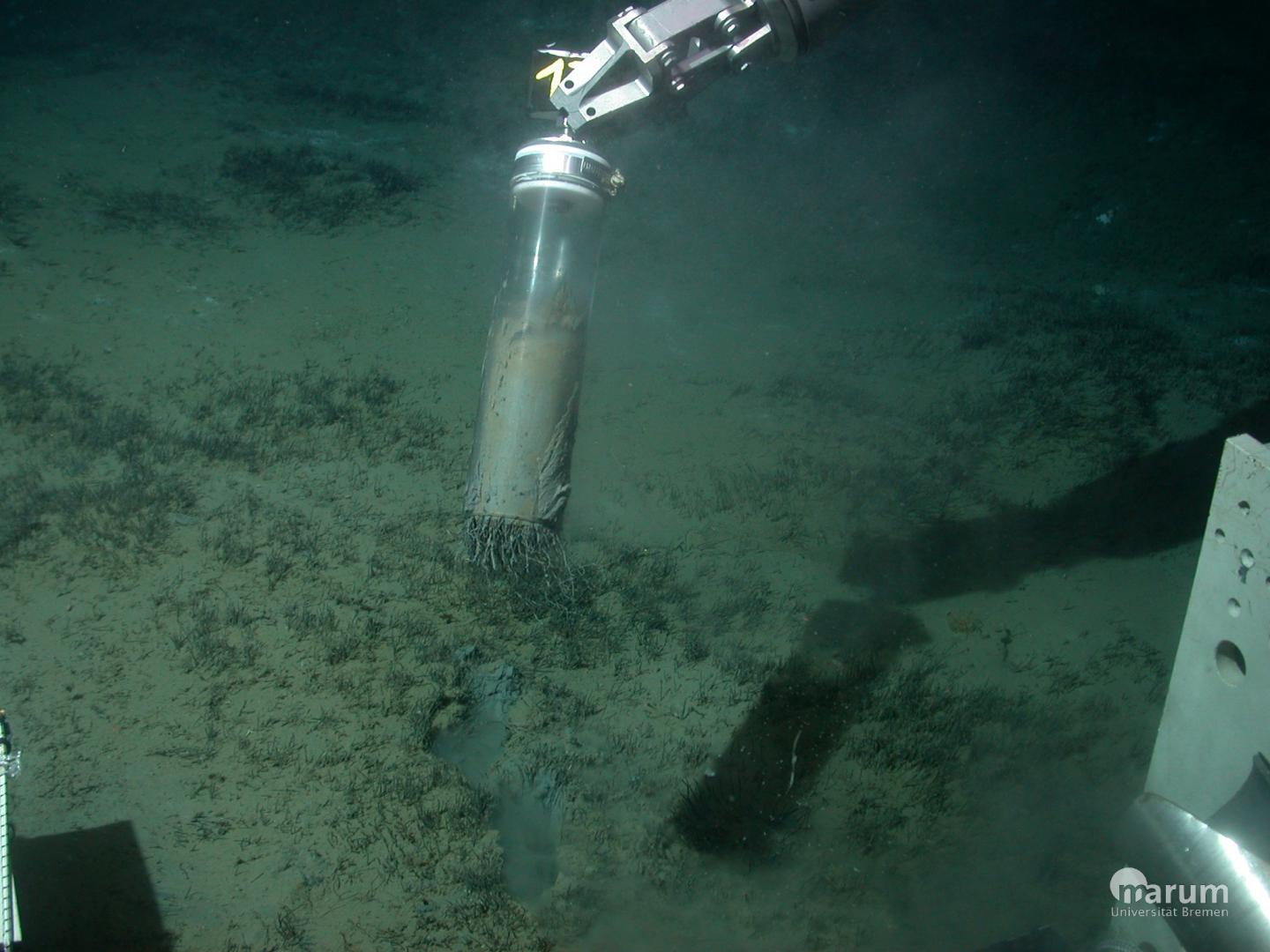[:es]Observing the development of a deep-sea greenhouse gas filter [:]