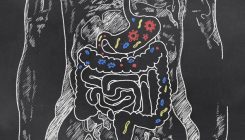 [:es]La microbiota intestinal, un factor de riesgo en el desarrollo de diabetes 1[:]