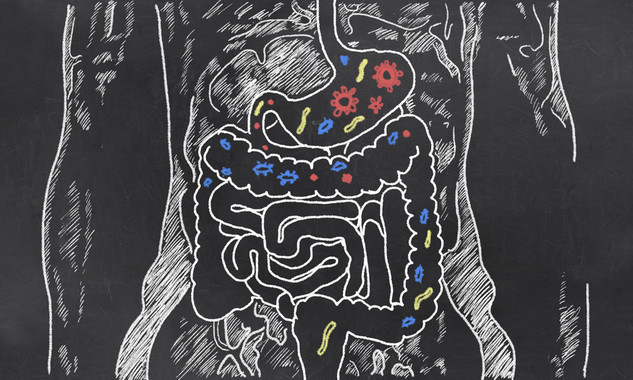 [:es]La microbiota intestinal, un factor de riesgo en el desarrollo de diabetes 1[:]