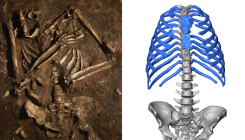 [:es]Los neandertales también respiraban mejor que nosotros [:]