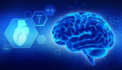 [:es]Inteligencia artificial para explicar la inteligencia humana [:]