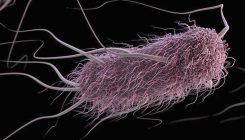 [:es]Las resistencias a los antibióticos causan 33.000 muertes al año en Europa[:]