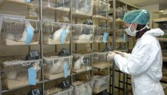 [:es]La experimentación con animales cae al mínimo desde que hay registros[:]