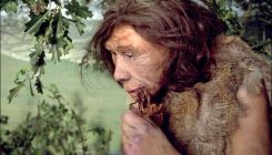 [:es]Human papilloma virus: a gift from the Neanderthals[:]
