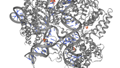 [:es]Una proporción importante de la población adulta tiene memoria inmunológica frente a un componente de CRISPR[:]