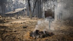 [:es]From Pine Cones to Hobbit Holes, Mimicking Nature Can Help Humans Adapt to Wildfires[:]