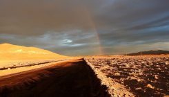 [:es]Lluvias sin precedentes arrasan la vida microbiana en el desierto de Atacama[:]
