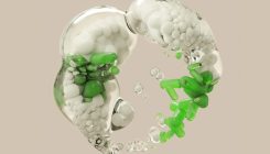 [:es]How biologists are creating life-like cells from scratch[:]