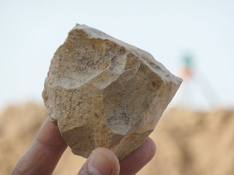 [:es]Algeria fossils cast doubt on East Africa as sole origin of stone tools[:]