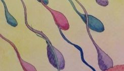 [:es]El ARN de los espermatozoides puede influir en la herencia de síntomas relacionados con experiencias tempranas[:]