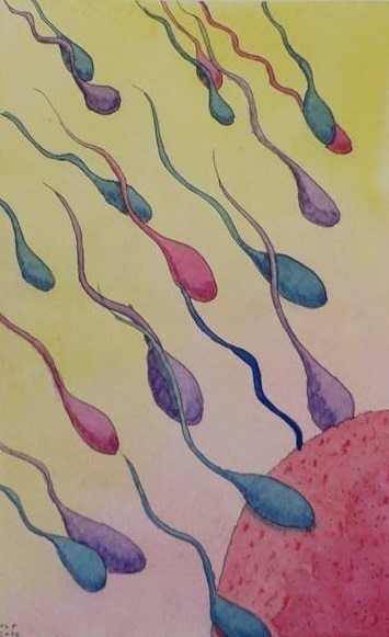 [:es]El ARN de los espermatozoides puede influir en la herencia de síntomas relacionados con experiencias tempranas[:]